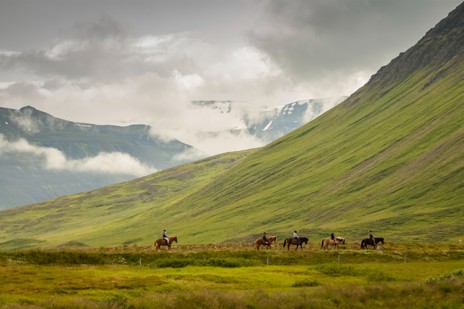 Fill up on local berries and skyr before riding Icelandic horses down the coast
